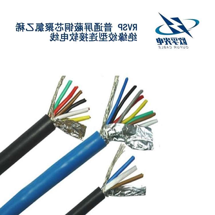 海西蒙古族藏族自治州RVSP电缆